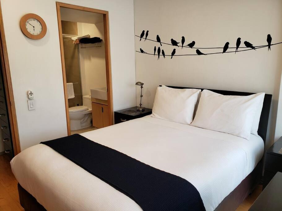 Luxury Apartment In Carso, Polanco مدينة مكسيكو المظهر الخارجي الصورة